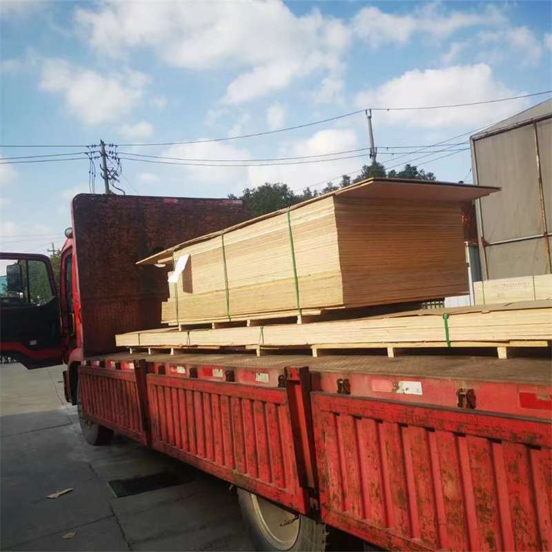 河南南阳社旗县至塔城货运专线，一站式物流服务助您成功